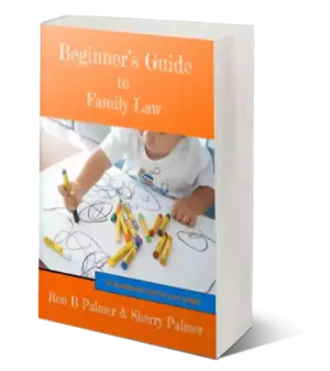 Beginners Guide to Family Law 300