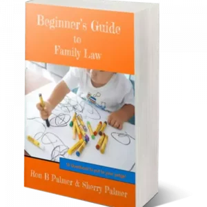 Beginners Guide to Family Law