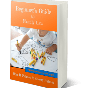 Book - Beginners Guide to Family Law by Ron B Palmer
